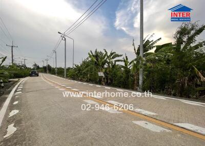 Paved road next to lush greenery under a clear sky