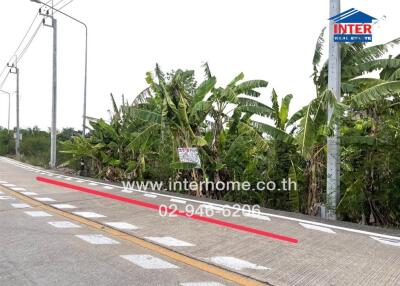 Street view with tropical foliage and real estate signage