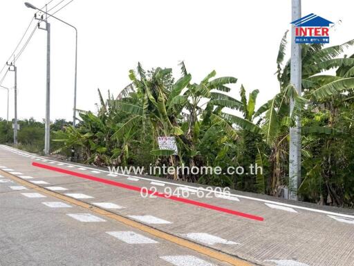 Street view with tropical foliage and real estate signage