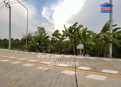 Outdoor view near a road with lush greenery and real estate signage