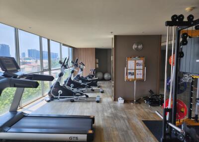 Modern home gym with various exercise equipment