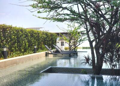 Luxurious outdoor pool with sun loungers and lush greenery