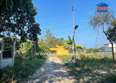 Rural road leading to properties with clear sky and lush greenery