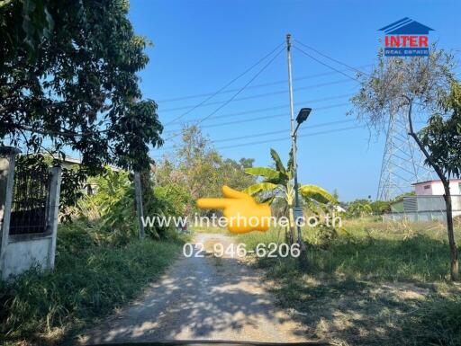 Rural road leading to properties with clear sky and lush greenery