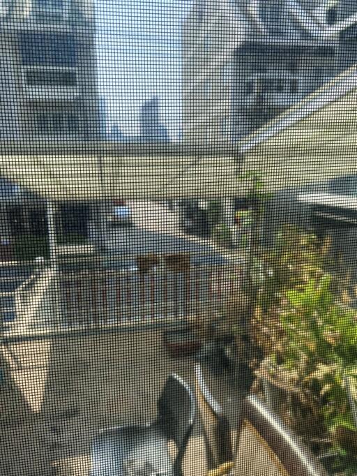 Urban apartment balcony with a view of surrounding buildings