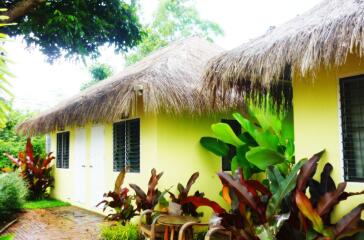 Tropical style house with thatched roof and vibrant yellow walls