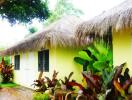 Tropical style house with thatched roof and vibrant yellow walls