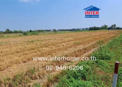 Spacious agricultural land plot ready for development near a building
