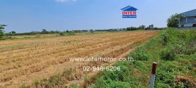 Spacious agricultural land plot ready for development near a building