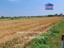 Spacious agricultural land plot ready for development near a building