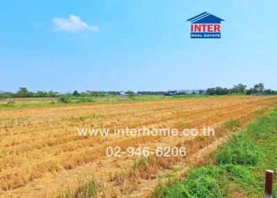 Expansive outdoor farmland adjacent to a building under a clear blue sky