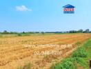 Expansive outdoor farmland adjacent to a building under a clear blue sky