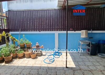 Spacious house patio with plant pots and bicycle