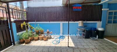 Spacious house patio with plant pots and bicycle