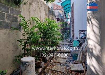 Narrow garden pathway alongside a building