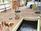 Spacious outdoor area with wooden deck and a serene koi pond