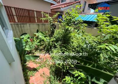 Backyard garden of a residential property