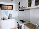 Modern kitchen with white cabinetry and stainless steel appliances