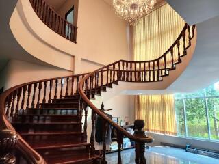 Elegant staircase in a spacious home entrance with natural lighting