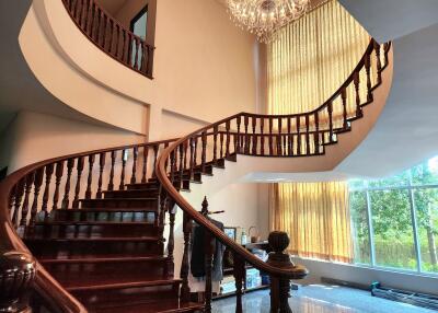 Elegant staircase in a spacious home entrance with natural lighting