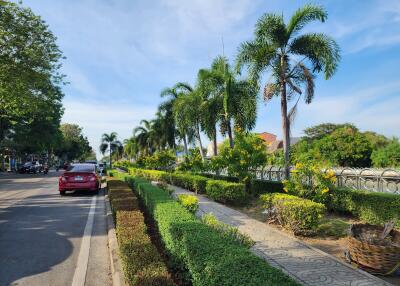 Palm tree lined street with lush greenery and a red car
