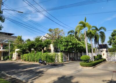 Lush residential street scene with modern homes and landscaping