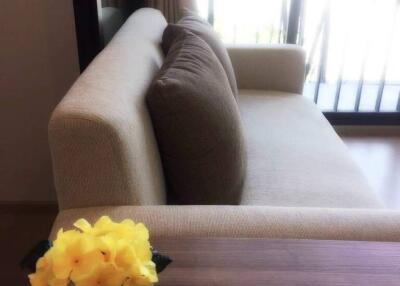 Chic Freehold Condo in Zcape X2, Choeng Thale, Phuket