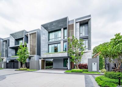 Modern urban townhouses with lush landscaping and contemporary design