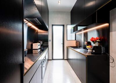 Modern, sleek kitchen with elegant black cabinetry and high-end appliances