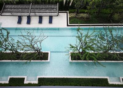Elegant outdoor swimming pool surrounded by lush greenery