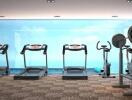 Modern residential gym with treadmills and exercise equipment overlooking an ocean view
