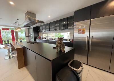 Modern kitchen with center island and a cat sitting on the countertop