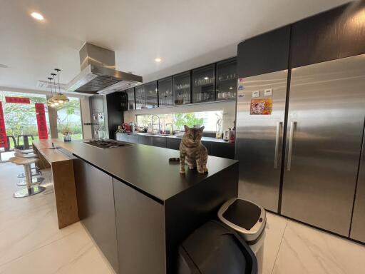 Modern kitchen with center island and a cat sitting on the countertop