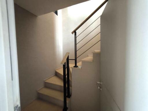 Modern staircase with a wooden railing and bright lighting