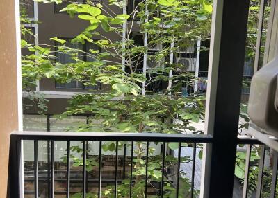 Condo for Rent at The SHADE Sathon 1