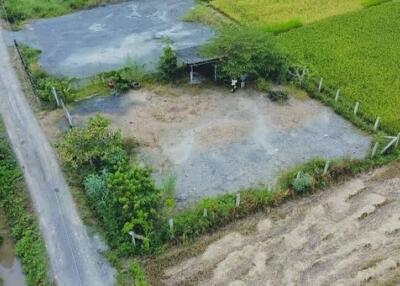 Land for Sale in Mae Faek Subdistrict, San Sai District, Chiang Mai
