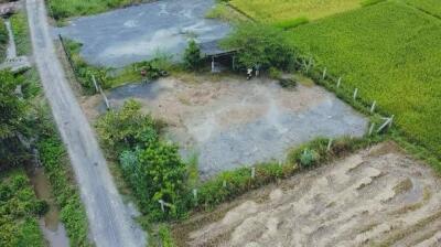 Land for Sale in Mae Faek Subdistrict, San Sai District, Chiang Mai