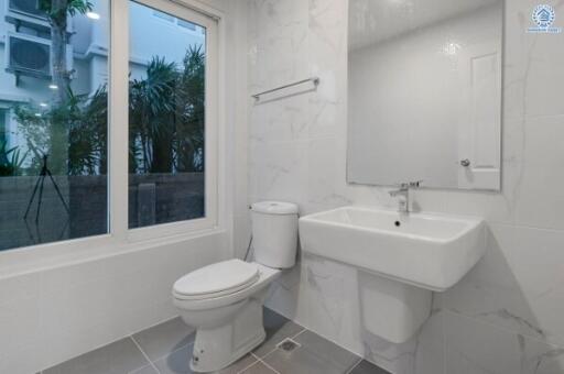 Modern bathroom with natural light