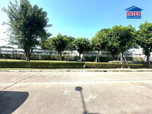 trees lined up in front of a residential building with clear blue sky