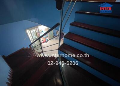 Wooden staircase in a home with blue walls and a view of the upper landing