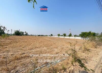 Spacious agricultural or potential development land under clear sky