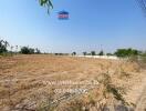 Spacious agricultural or potential development land under clear sky