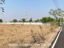 Empty land plot near road with company sign for real estate development