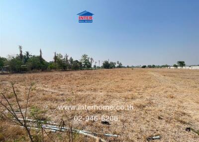 Open land with clear blue sky and scattered vegetation
