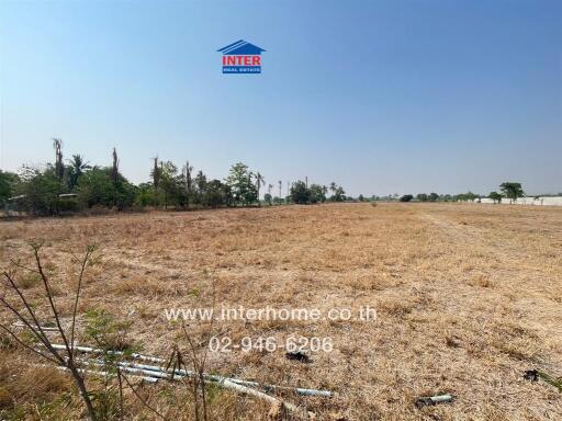 Open land with clear blue sky and scattered vegetation