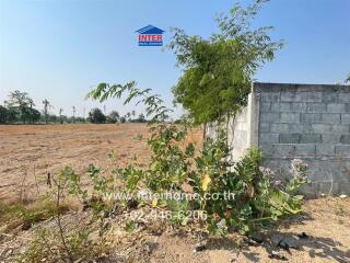 Vacant land with partial fencing and mature vegetation under clear sky