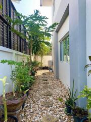 Tropical garden path beside modern building