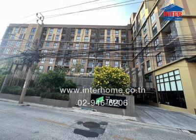 Exterior view of a modern apartment building with distinctive wooden fencing and flourishing yellow tree