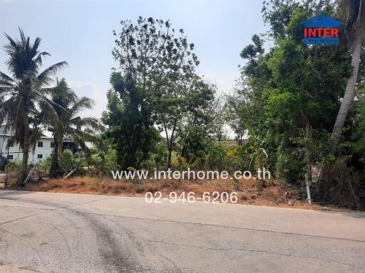 Vacant land available for property development next to a paved road