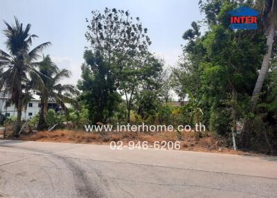 Vacant land available for property development next to a paved road